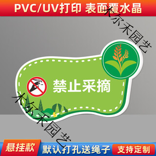Pesticides have been applied, no picking warning sign, garden garden, care for flowers and grass, pesticide slogan sign, orchard vegetable patch, cz27 (hanging lanyard) 20x30cm