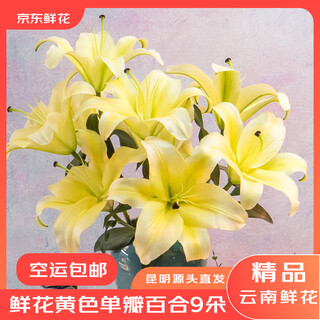 Jingdong flowers yunnan kunming flower base straight hair yellow perfume lily 9 family life flowers straight hair source