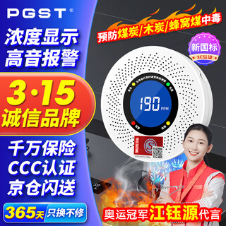 Pgst carbon monoxide alarm co detector coal stove burning alarm gas leak detection alarm
