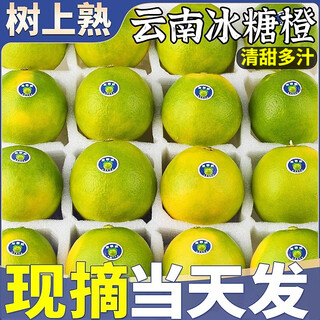 春福乐正宗云南冰糖橙橙子新鲜水果当季手剥橙果冻子橙爆甜爆汁好吃 5斤精选装【老农手挑】净重4.5斤