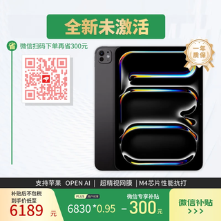 Apple/苹果iPadPro2024 11英寸 M4芯片 平板电脑 256G WLAN版 深空黑色 全新原封海外美版ipad pro 2024