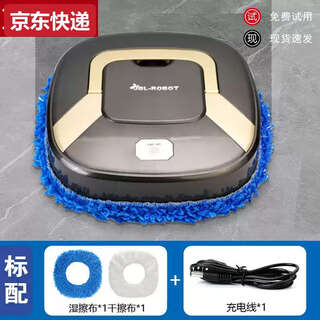 蓝彩和智能家用懒人拖地式神器全自动扫地机器人一体擦洗地擦地电 日本进口365天免费试用赠5年只换 标配+白色初级版