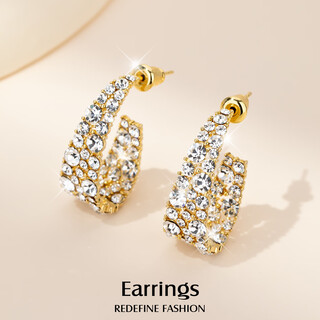 Yalundi's unique earrings to support pierced ears, silver earrings, 2025 new hot style women's light luxury, high-end, elegant and atmospheric ear jewelry