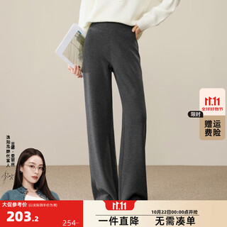 Ese-y yiyang acetate wool straight pants women's 2025 autumn and winter new high waist slim drape narrow wide leg long leg pants dark gray 27