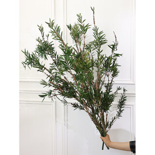 Ywzr buddha beads long branches dried flowers bouquet living room decoration vases wabi-sabi wind flower arrangement dry branches branches natural real flowers immortal flowers green buddha beads long branches 5 pieces 7090cm