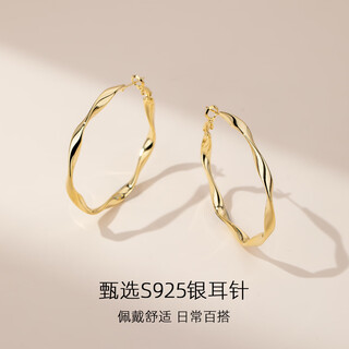 Qlady mobius gold silver needle earrings women's plain hoop earrings 2025 new light luxury niche high-end earrings earrings