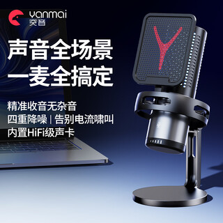 Riksoin computer desktop microphone usb game anchor e-sports live recording microphone noise reduction mobile phone desktop notebook radio microphone karaoke wired condenser microphone professional game condenser microphone plug and play + bright vocals