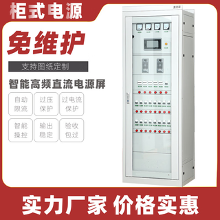 Maintenance-free dc screen floor-standing dc screen cabinet high-voltage dedicated intelligent dc screen gzdw-65ah/220v 120ah/220v (complete set including battery)