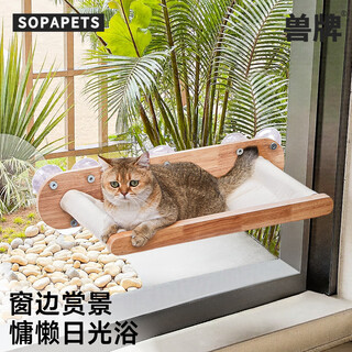 Beast brand suction cup cat climbing frame wall-mounted small apartment solid wood wall-mounted hammock space capsule cat nest integrated glass without punching yunsen s5 | hammock