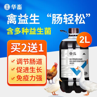 Huazhu veterinary poultry probiotics compound chicken probiotics liquid enterococcus faecalis gastrointestinal tract balance for chickens to reduce feed to meat ratio 1 bottle buy 2 song 1 poultry probiotics 2l