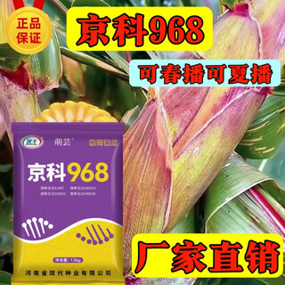 Jingke 968 семена кукурузы, национальный обзор, весенний посев, устойчивый к засухе, устойчивый к переувлажнению, устойчивый к плесени, устойчивый к болезням и вредителям, палка с низким стеблем, оригинальная 6 Цзинь Цзинь, равная 0,5 кг, посадка двух акров