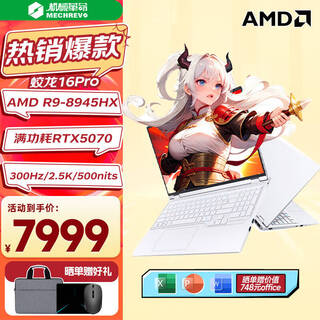 机械革命（MECHREVO）蛟龙16pro  2025新款锐龙R7HX满血5060游戏本16英寸高刷电竞笔记本电脑 R9-8945HX|满血5070|16G+1TB