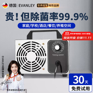 Evanley german ozone generator sterilizer household air purifier industrial food factory car sterilization and formaldehyde removal 10g/h (80 square meters)