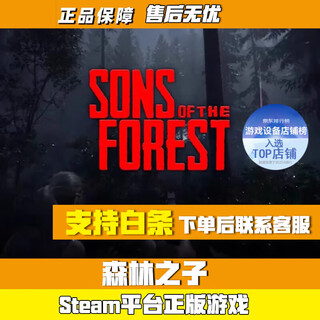 S正版Steam森林之子 迷失森林2 Sons Of The Forest 标准版 全新白号可改