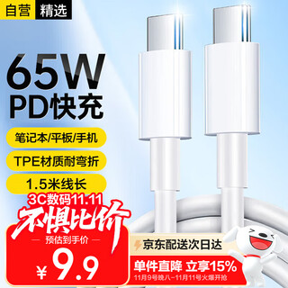 Stike double-headed type-c data cable usb-c100w65w suitable for huawei computer charging cable apple 17/16/15 fast charging c to c notebook promax xiaomi ipad