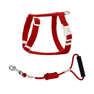 Zooland cat chest and back traction rope set anti-breakaway i-shaped young cat pet travel adjustable high-look discovery series set cinnabar red zlhl-001m -l