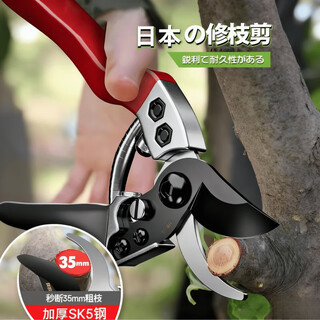 Jczs japanese gardening scissors for pruning branches, special for fruit trees and flowers, thick branch flowers and trees, household labor-saving multi-functional boutique model, original sk5 steel, free gloves, maintenance oil, spring