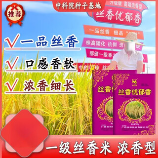 Цюин первоклассный ароматный рис гибридный ароматный рис со вкусом шелка семена оригинального длиннозерного ароматного риса против полегания Тусян со вкусом шелка (2 Цзинь Цзинь равен 0,5 кг) шелковые саженцы с длинными зернами