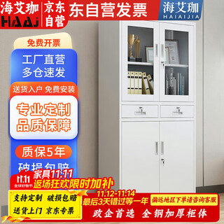 Haiaijia filing cabinet office cabinet information cabinet filing cabinet iron cabinet with lock steel storage cabinet two buckets extra thick