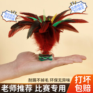 Shuttlecock for children and primary school students. feather-resistant shuttlecock. old-fashioned key. adult sports tendon. feather shuttlecock. 1 pack. large rooster feather shuttlecock-for competition.