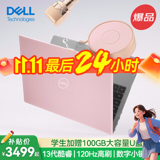 戴尔（DELL）电脑笔记本轻薄本灵越15pro 高性能酷睿笔记本办公本粉色女大学生电脑超薄独显商务手提笔记本电脑 初恋粉 | 15pro装粉壳【15.6英寸】 高配：i5 | 32G | 2000G 