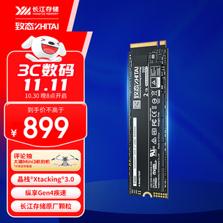 致态（ZhiTai）长江存储 2TB SSD固态硬盘 NVMe M.2接口 Ti600系列 (PCIe 4.0 产品)