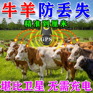 Cattle and sheep gps positioning tracker, waterproof and sunscreen, no need to charge, mountain animal pet beidou anti-lost locator, regular version, expensive in freight, portable and wearable