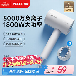 Flyco bo rui hair dryer household negative ion high power does not damage hair portable ladies hair dryer student dormitory birthday gift national subsidy ph1629