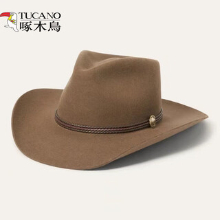 Woodpecker (tucano) new autumn and winter wool woolen men's hat large brim casual cowboy hat men's felt hat british retro jazz hat brown with coffee belt one size