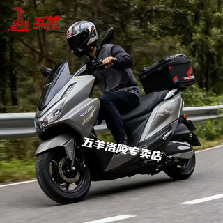 Wuyang wuyang 2025 new pgx150cc pedal two-wheeled motorcycle national iv efi fuel-saving transportation can be registered, metallic gray, high-end tail box version, front wheel abs