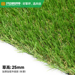 Co-create lawn artificial turf courtyard kindergarten golf simulated turf garden gym school rooftop fake lawn villa 25mm thickened encrypted upgrade (autumn grass)
