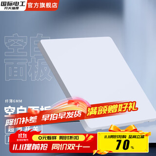 国际电工86型暗装超薄肤感哑光开关插座大板家用墙壁白色一开单双控五孔插 空白面板