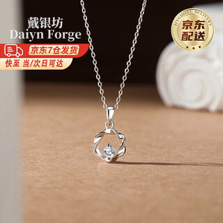 Daiyinfang sterling silver necklace for women 2025 new style mobius silver pendant jewelry jewelry birthday gift for besties and friends. shipping from seven warehouses nationwide (quick delivery/next day delivery) brand gift box style