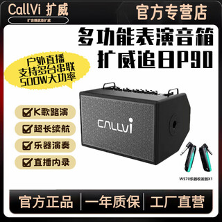 Callvi live broadcast karaoke guitar saxophone electric blowpipe street playing portable bluetooth outdoor audio p90 black + (ruifu transceiver + full gift package)