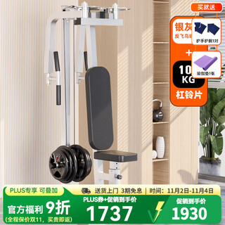 Yanbo straight arm chest trainer, reverse bird butterfly machine, commercial gym chest push equipment, home strength equipment, glacier silver chest trainer + 100kg bell plate
