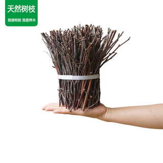 Small branches, dry branches, dead branches, handmade diy forest-style creative fruit tree landscaping branches, logs, small tree branches, natural, customized private photos, no delivery, dry branches