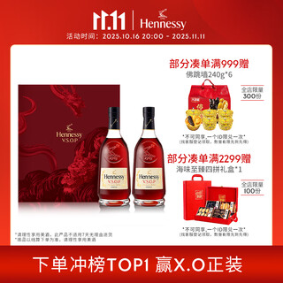 轩尼诗（Hennessy）VSOP干邑白兰地法国进口洋酒 500ml*2艺术家限定礼盒