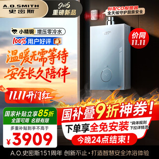 A.o.smith garnet small fine steel tjs5 16-liter supercharged zero cold water gas water heater national subsidy safety protection long-lasting constant temperature silent new product