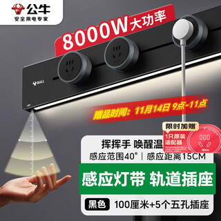 公牛（BULL）明装灯带轨道插座 免开槽可移动壁挂式轨道插排 大功率开关插座面板 100厘米+5个五孔GB1Y黑色