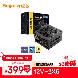 鑫谷（segotep）GM750W ATX3.1金牌全模组电源（12V-2X6支持5060Ti/5070Ti显卡/全电压宽幅/台式电脑主机箱电源）