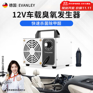 Evanley german ozone generator sterilizer household air purifier industrial food factory car sterilization and formaldehyde removal 12v car 5g (cigarette lighter interface)
