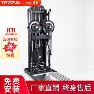Tezewa comprehensive trainer side flat lift chest strength equipment integrated dual-arm machine standing flying machine fitness equipment