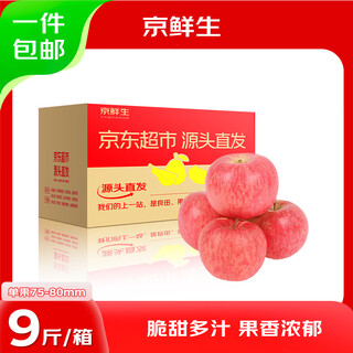 Jingxiansheng shandong yantai red fuji apple, net weight 9jin jin is equal to 0.5kg, single fruit 75-80mm fresh fruit, straight from the source