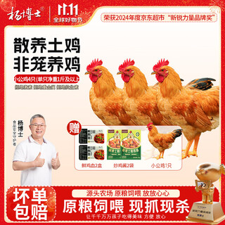 Dr. yang, 4 free-range native chickens in southern anhui province, net weight 4jin jin is equal to 0.5kg, uncrowded little rooster, boy chicken, three-yellow chicken, straight from the source