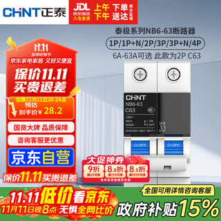 正泰（CHNT）空气开关 空开断路器小型家用NB6-63 2P 63A