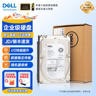 戴尔（DELL）服务器工作站企业级NAS数据存储盒装RAID阵列硬盘 20T 7.2K SAS 3.5英寸（原厂盒装）