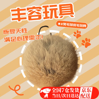 Zhewei toy rabbit fur cat ball spherical silent relief boredom cat enrichment real rabbit fur ball resistant to scratching and bite enrichment toy-rabbit fur ball 1