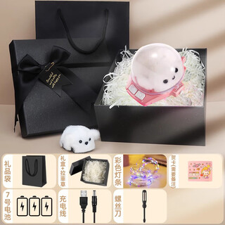 Shantou lincun kapibala simulation doll doll cute plush toy children boys and girls internet celebrity birthday gift gift set bichon plush watch remote control car 2.4g_high efficiency battery life less than 10cm