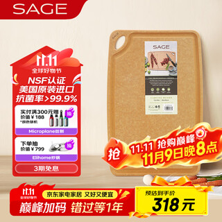 世廚（SAGE）美国进口切菜板抗菌砧板案板耐高温带凹槽和防滑垫30*45*1cm