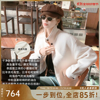 Meiyang ice cream wool jacket literary fairy sheep wool bouclé stand collar fashionable and versatile slimming winter new style white velvet lining m